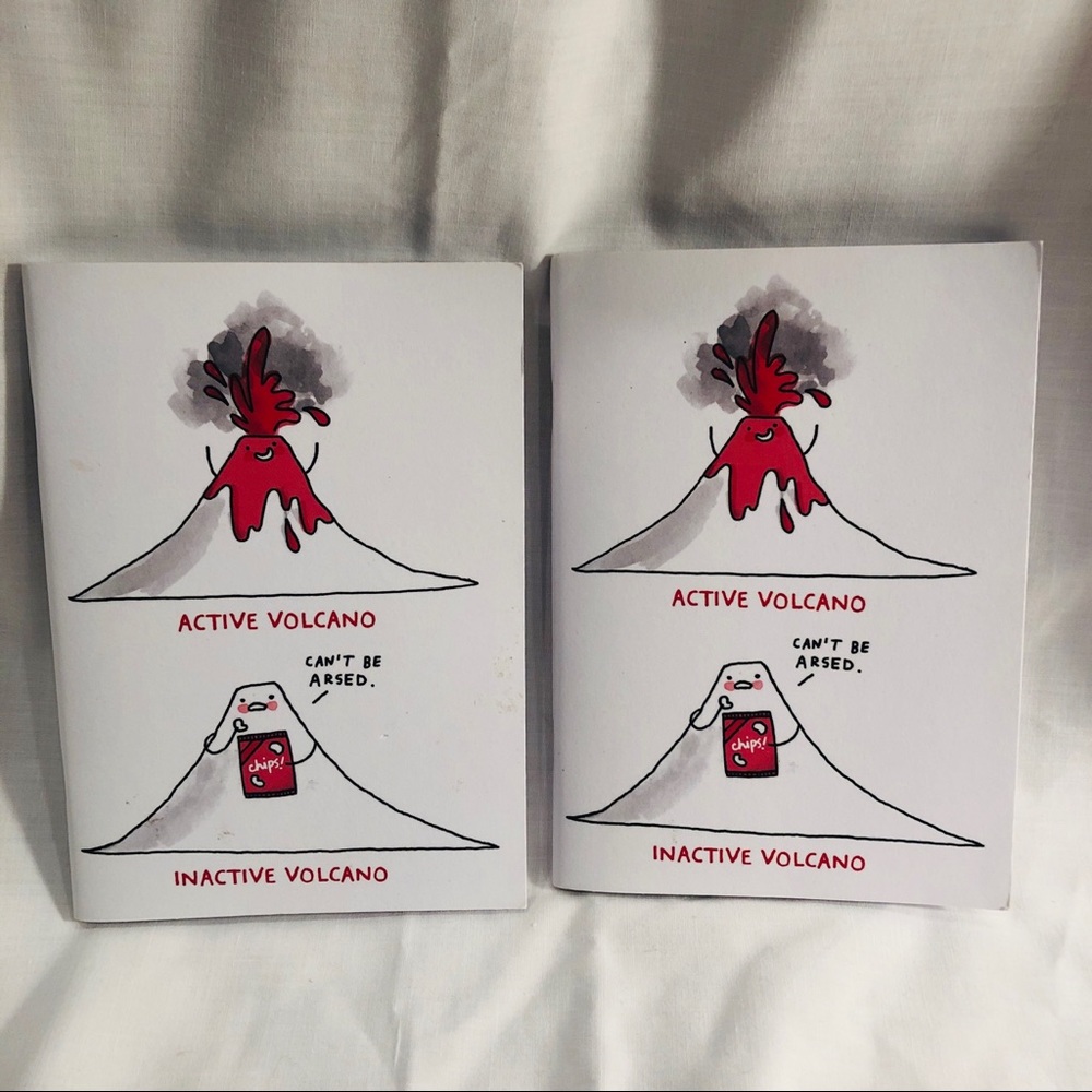 Funny gifts! 🎁 UK humor small journals set